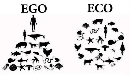 ego-eco